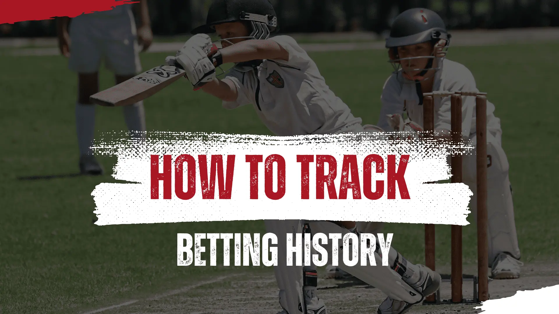 You are currently viewing How to track your betting History in Reddy Book