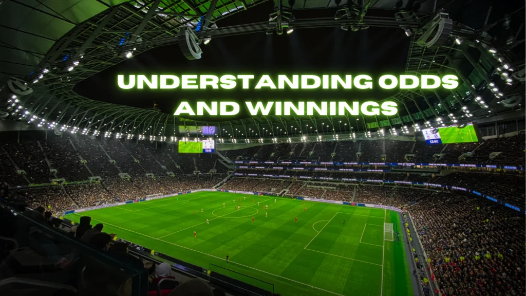 Reddy Book Online Betting: Understanding Odds and Winnings
